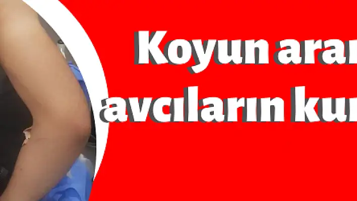 Koyun aramaya gitti, avcıların kurbanı oldu