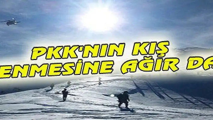 PKK'NIN KIŞ ÜSTLENMESİNE AĞIR DARBE