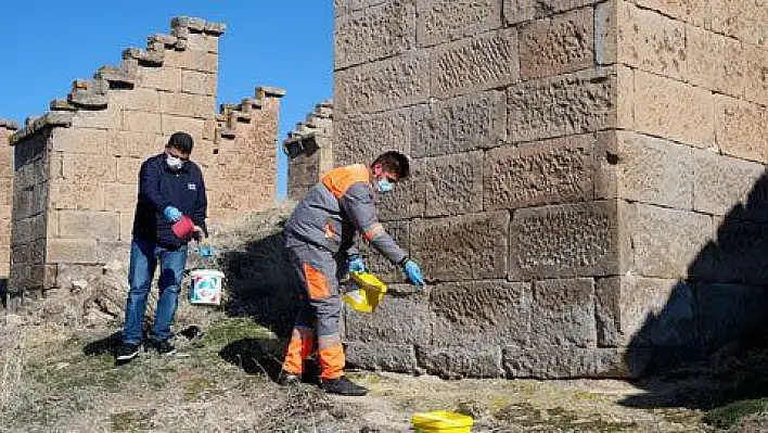 Kuş köşkleri turizme kazandırılacak