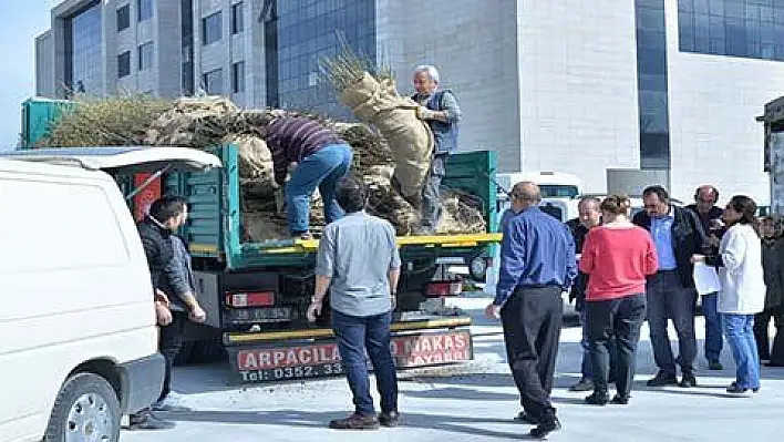 İl Tarım ve Orman Müdürlüğü 47 bin fidan dağıttı 