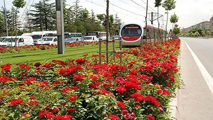 Raylı sistem günde 10 bin 300 özel aracın trafiğe çıkmasını önlüyor 