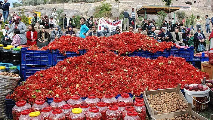 Melikgazi Ceviz ve Gilaboru Şenliği Başlıyor