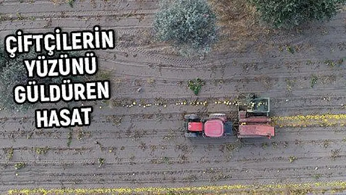 Kabak çekirdeği, fiyatıyla Kayserili çiftçilerin yüzünü güldürdü