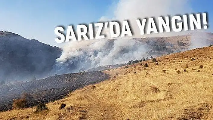 Sarız'da ormanlık alanda yangın çıktı