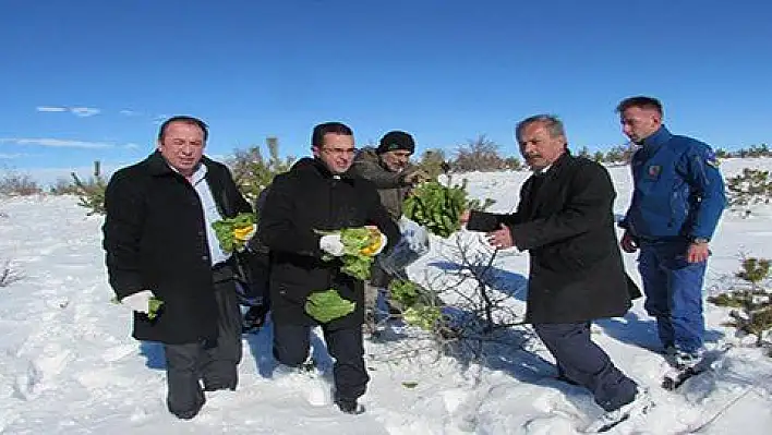 Yaban hayvanları için doğaya yem bırakıldı 