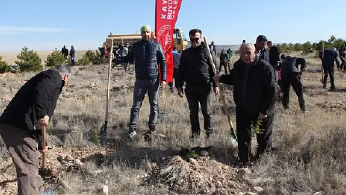 Ulaşım A.Ş.'den Hatay'a 700 fidan