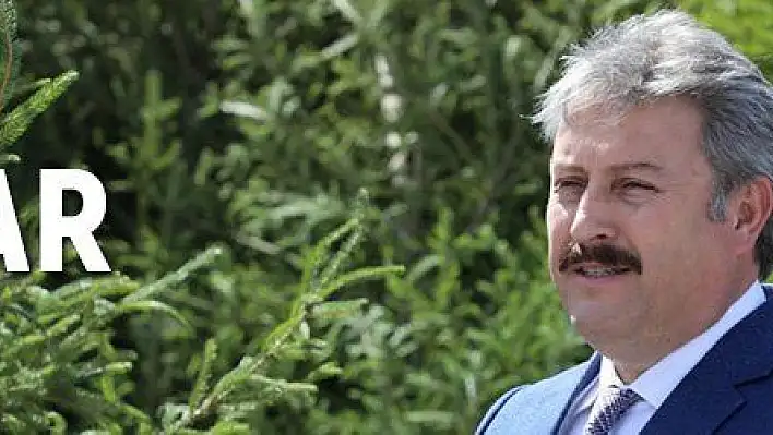 TIR TIR AĞAÇLAR YOLDA