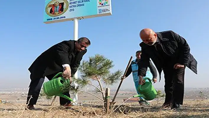 Kocasinan'da Şehit Savcı Kiraz adına hatıra ormanı 