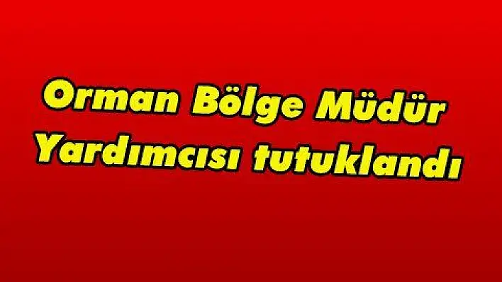 Orman Bölge Müdür Yardımcısı tutuklandı