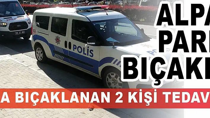 Alpaslan parkında bıçaklı kavga