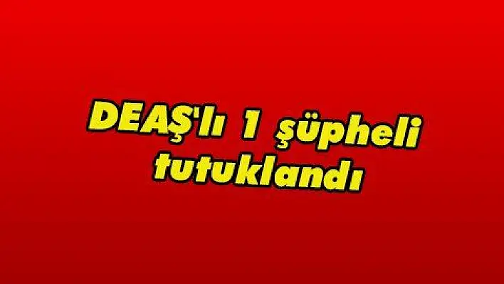 DEAŞ'lı 1 şüpheli tutuklandı