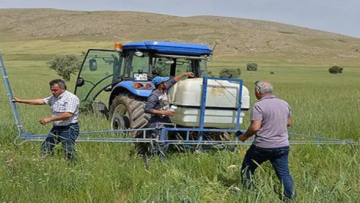 Buğday Ekili Alanlarda Süne Zararlısı İle Mücadele Tüm Hızıyla Devam Ediyor