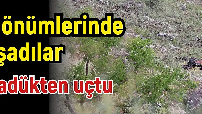 Evlilik yıl dönümlerinde kabusu yaşadılar