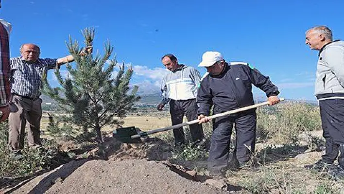 ALİ DAĞI'NDA AĞAÇLANDIRMA ÇALIŞMALARI SÜRÜYOR