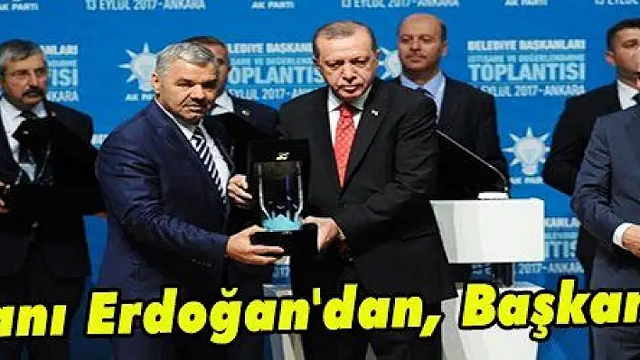 Cumhurbaşkanı Erdoğan'dan, Başkan Çelik'e ödül