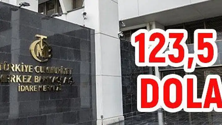 Merkez Bankası rezervleri 123,5 milyar dolar oldu