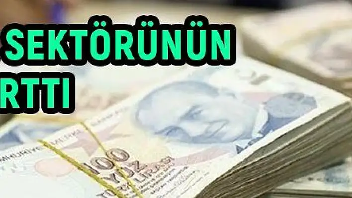 Bankacılık sektörünün mevduatı arttı