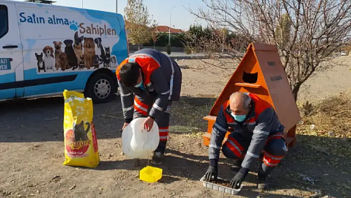 Sokak hayvanları unutulmadı