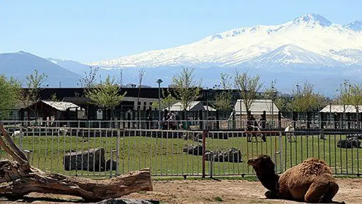 Hayvanat bahçesi yaza hazırlanıyor 