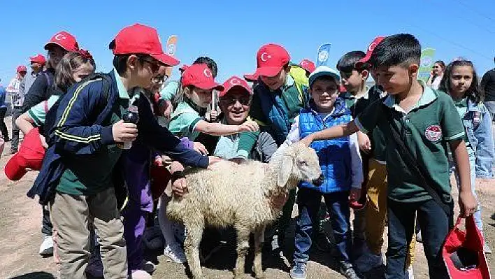 Talas'ta minikleri heyecanlandıran kuzu katımı