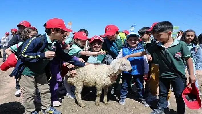 Kayseri'de ilkokul öğrencileri, kuzuların anneleriyle buluşmasına tanık oldu