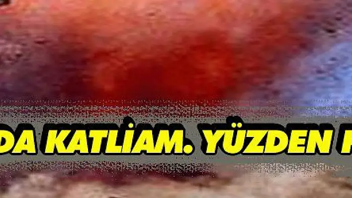 Pakistan'da patlama yaşandı. Yüzün üzerinde ölü