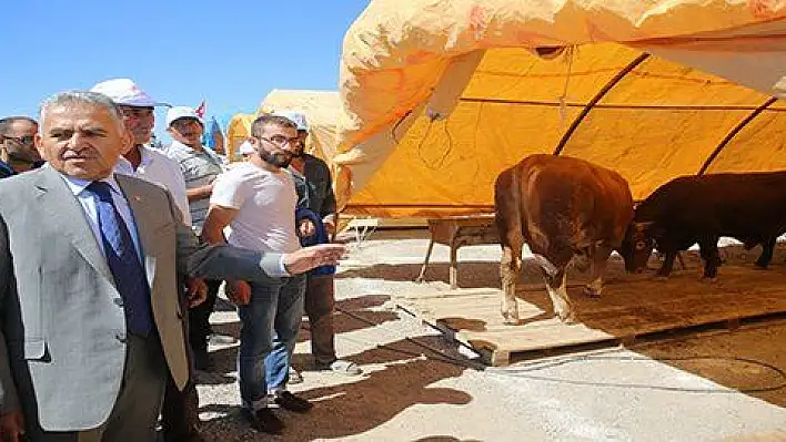 Kurban pazarında esnafların yeri kura ile belirlendi