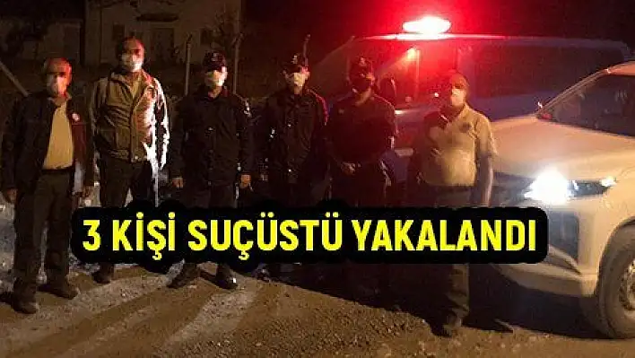 Projektörle tavşan avlayan 3 kişi şafak operasyonu ile suçüstü yakalandı