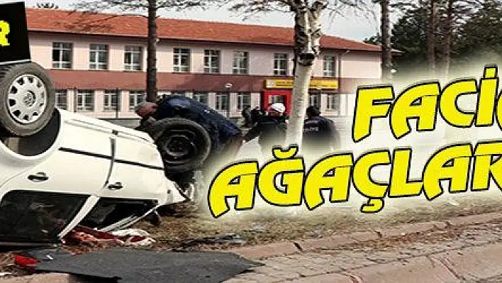 FACİAYI AĞAÇLAR ÖNLEDİ