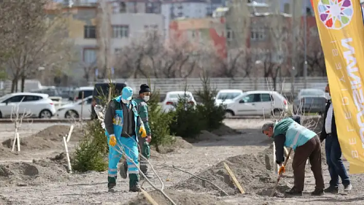 'Hedefimiz 100 bin ağaç'