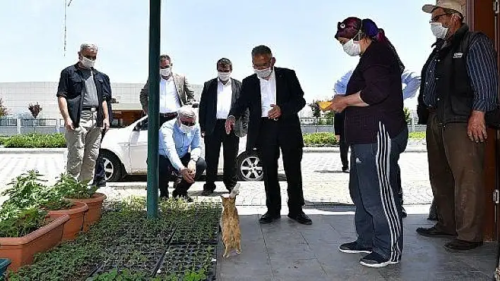 Hobi bahçeleri ne zaman açılacak ? Büyükkılıç açıklama yaptı 