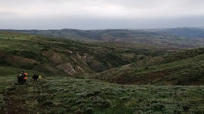 Uçuruma yuvarlanan inek itfaiye tarafından kurtarıldı