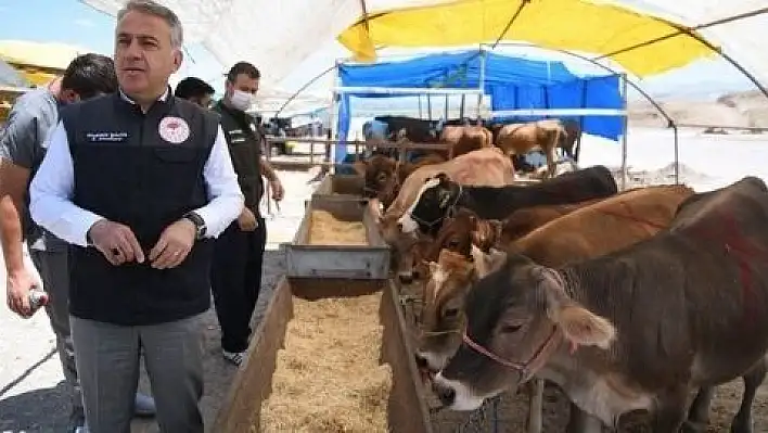 Kurban pazarlarında denetimler başladı