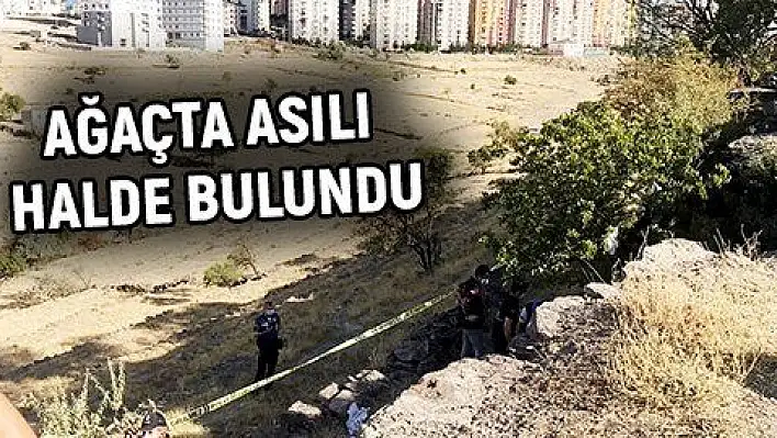 Kayıp adam ağaçta asılı halde bulundu