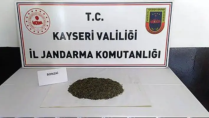 Kadınların çantalarında yarım kilo bonzai çıktı