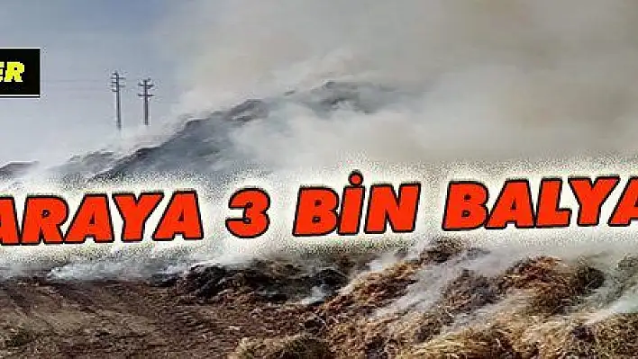 BİR SİGARAYA 3 BİN BALYA SAMAN