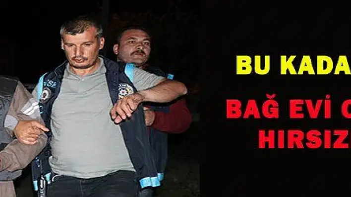 BAĞ EVİ CİNAYETİNE HIRSIZLIK SÜSÜ