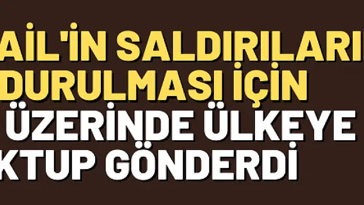 TİHEK, İsrail'in saldırılarının durdurulması için 100'ün üzerinde ülkeye mektup gönderdi