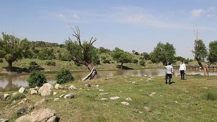 Hacılar'a yeni mesire alanı