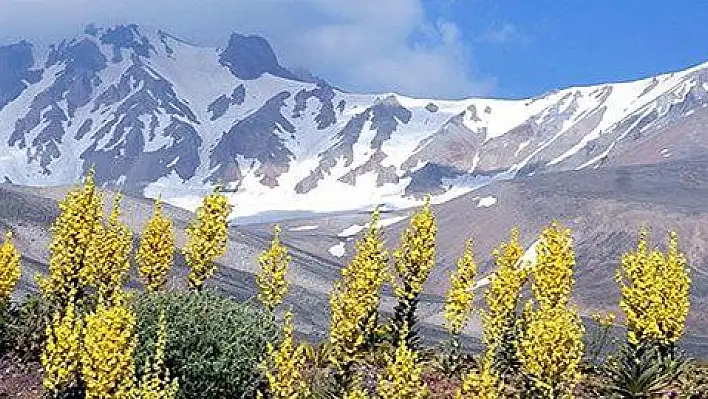 Kayseri endemik türlerde başı çekiyor   