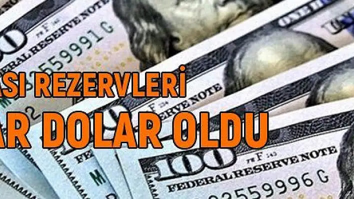 Merkez Bankası rezervleri 120,1 milyar dolar oldu