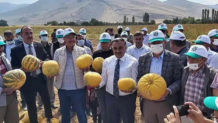 'Keykubat'ın ilk ürünleri hasat edildi