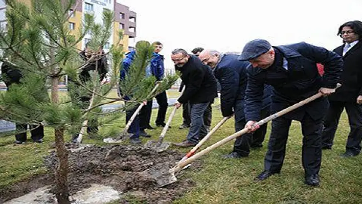 Kocasinan Belediyesi ağaç dikti  