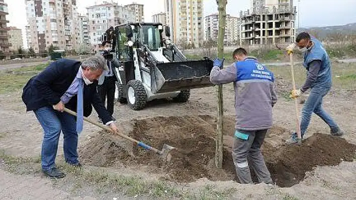 Melikgazi'den ağaçlandırma 'Organize yolu yeşillenecek'