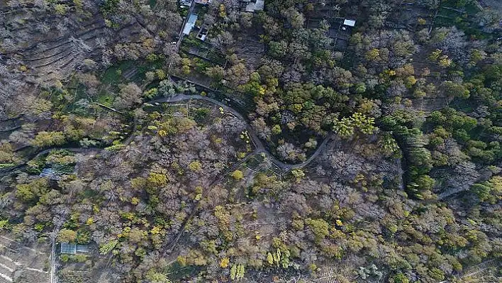 UNESCO'dan müjdeli haber ! Koramaz Vadisi dünya mirasında 