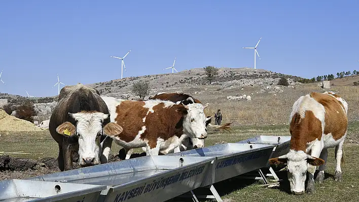 2021 'de tarım ve hayvancılığa özel önem verilecek