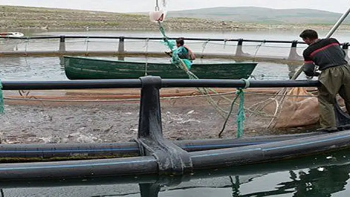 Kayseri'nin denizi yok ama balık ihracatı çok