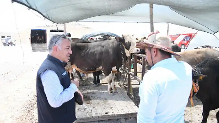 Şahin'den kurban kesecek vatandaşlara uyarı