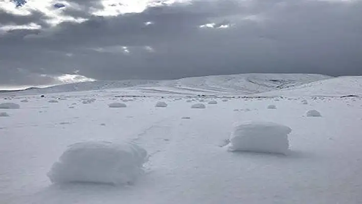 Kayseri'de köylüleri şaşırtan görüntü 