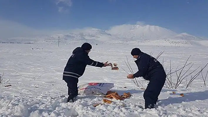 Belediye ekipleri doğada yaşayan hayvanlar için yem bıraktı 